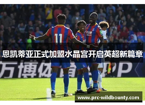 恩凯蒂亚正式加盟水晶宫开启英超新篇章 恩凯蒂亚正式加盟水晶宫开启英超新篇章