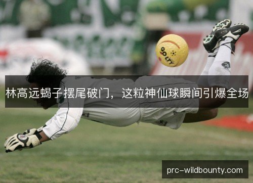 林高远蝎子摆尾破门，这粒神仙球瞬间引爆全场